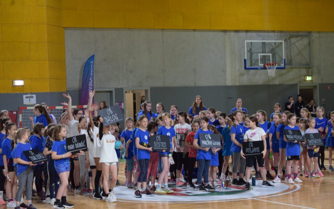 Rokometno doživetje v areni stožice