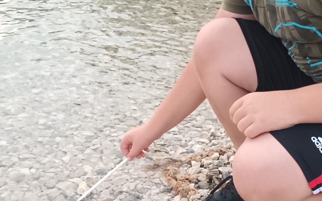 TRETJI DAN POLETNE ŠOLE V NARAVI