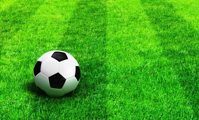 Nogometna ekipa oš martina krpana blizu finala državnega prvenstva